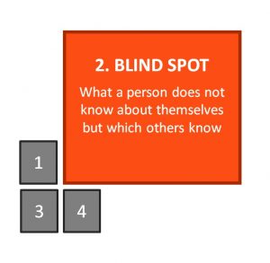 Johari Window: Blind Spot